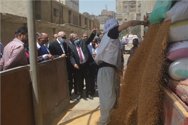 محافظ الجيزة .. استقبال 12 ألف طن قمح بالشون والصوامع واستمرار عمليات التوريد يومياً