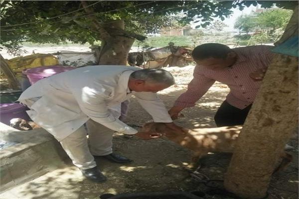 جامعة الزقازيق 