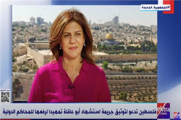 الصحفية الفلسطينية  شيرين أبو عاقلة