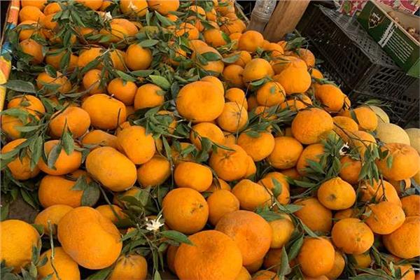 صورة موضوعية