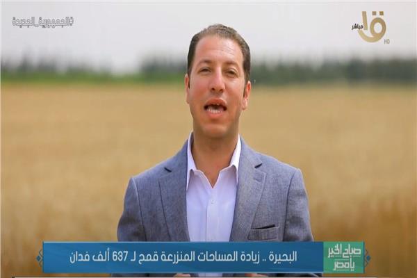المهندس إكرامي شتا رئيس لجنة القمح في مديرية الزراعة بالنوبارية