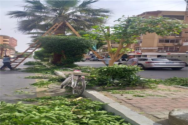 صورة موضوعية