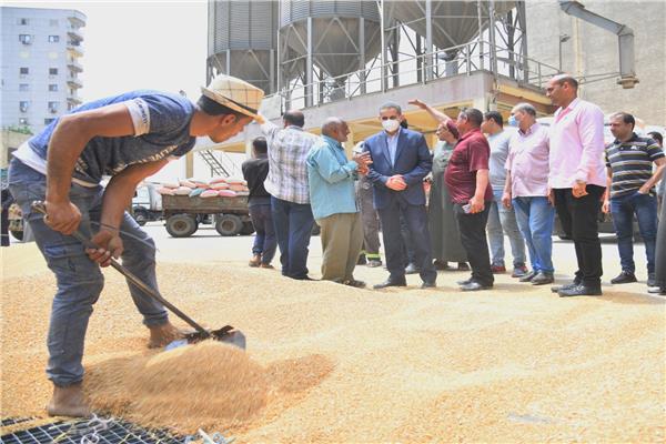 محافظ الغربية يتفقد توريد القمح بصومعة طنطا المعدنية 