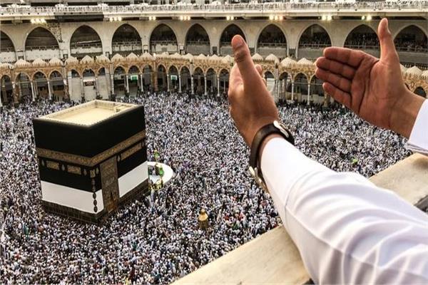 الدكتورة نيفين القباج