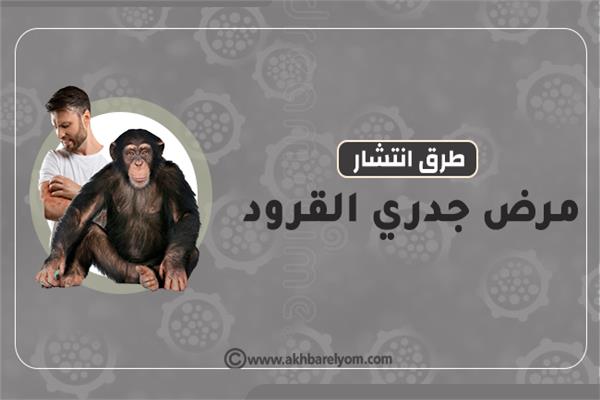 انفوجراف | طرق انتشار مرض جدري القرود