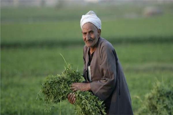 الفلاح