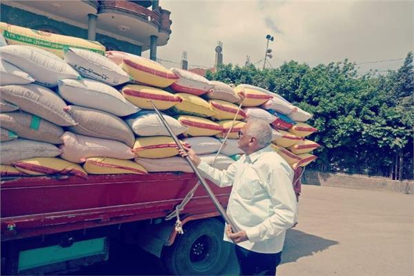 توريد 588 الف طنا من الذهب الاصفرلشون و صوامع الشرقية