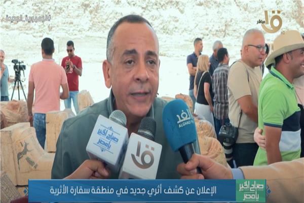 الدكتور مصطفى وزيري  الأمين العام للمجلس الأعلى للآثار