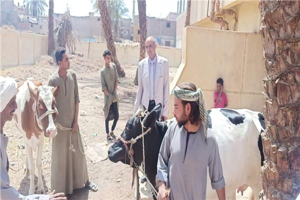 القوافل البيطرية