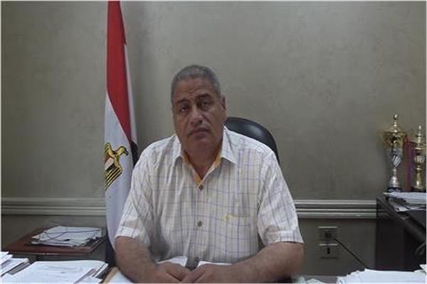 البيلي رئيسًا لشركة جنوب الدلتا لتوزيع الكهرباء 