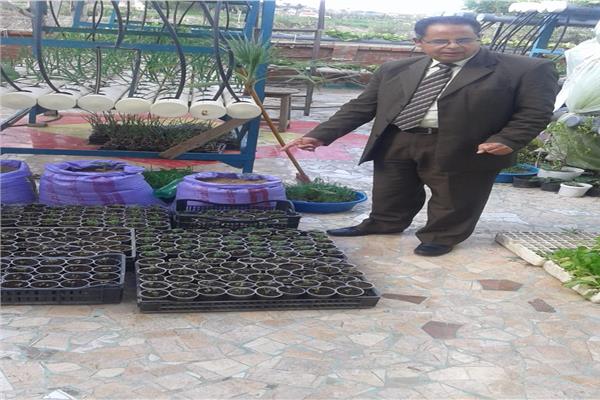 «الشيخ عون» تتحدى البطالة.. قرية نموذجية حققت الاكتفاء الذاتي من الخضروات والفاكهة