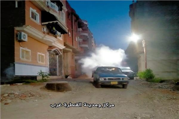 استكمال خطة مكافحة البعوض والذباب بالإسماعيلية