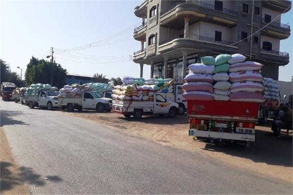 توريد 610 الف طن من القمح لشون و صوامع الشرقية