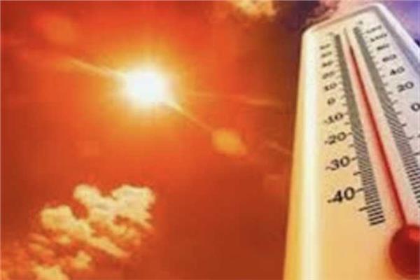 صورة موضوعية