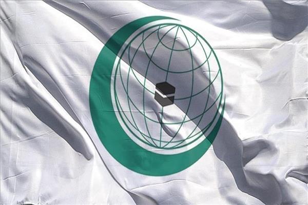 شعار منظمة 