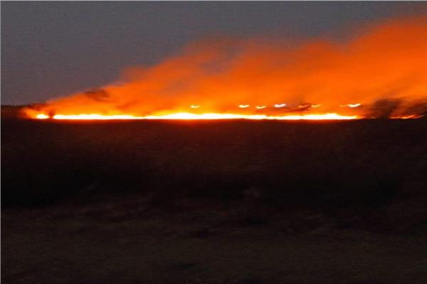 الحريق