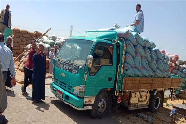 صورة موضوعية