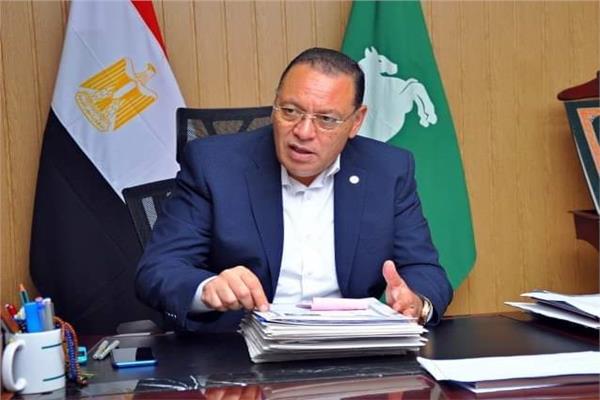 محافظ الشرقيه 