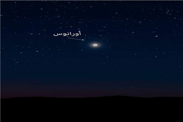 صورة موضوعية