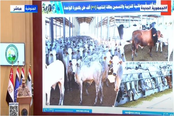 اللواء وليد أبو المجد، مدير عام جهاز مشروعات الخدمة الوطنية