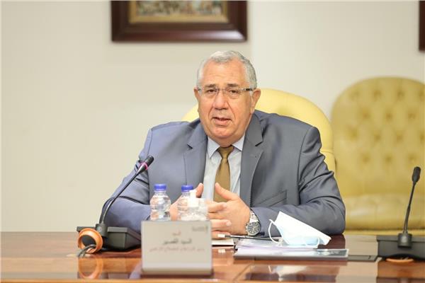  السيد القصير