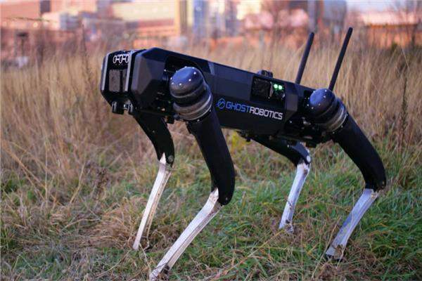 تدخل الكلاب الروبوتية في الأمان حول أنحاء العالم