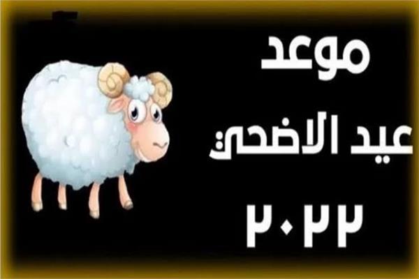 صورة موضوعية