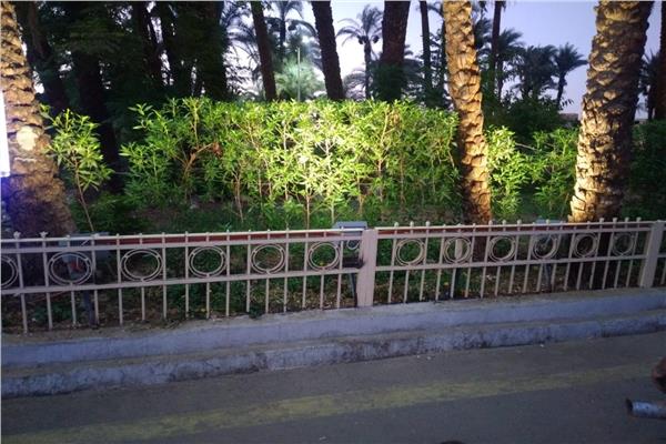 رفع كفاءة الإنارة بحديقة الكومنولث