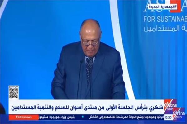 السفير سامح شكري وزير الخارجية 