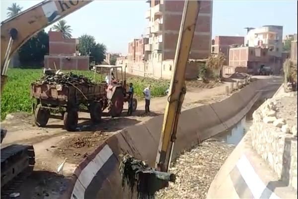 جانب من حملة التنطهير ورفع الأسماك النافقة 