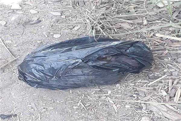 جثة طفل حديث الولادة