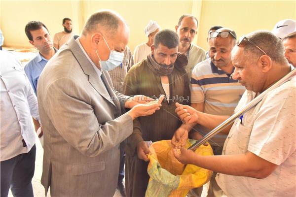 محافظ أسيوط يعلن عن توريد 168 ألف و651 طن قمح محلي إلى 30 شونة وصومعة