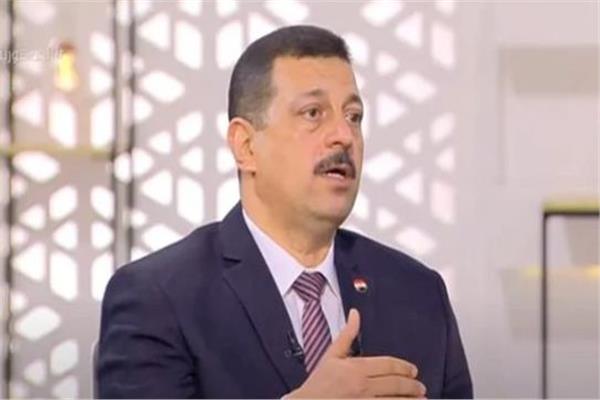 الدكتور أيمن حمزة المتحدث باسم وزارة الكهرباء