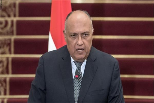 وزير الخارجية سامح شكرى