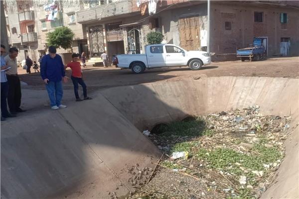 صورة موضوعية