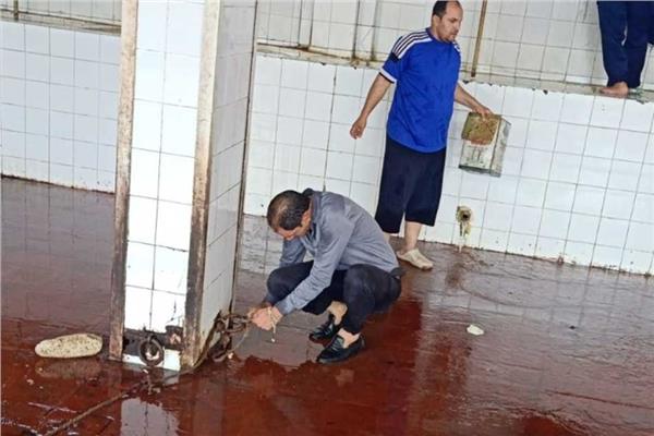 تعقيم 16 مجزرًا ونقاط ذبح بمحافظة كفر الشيخ