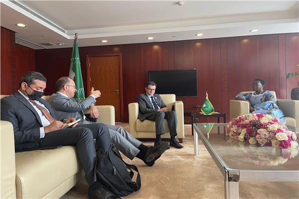 وفد من الرئاسة المصرية لمؤتمر COP27 