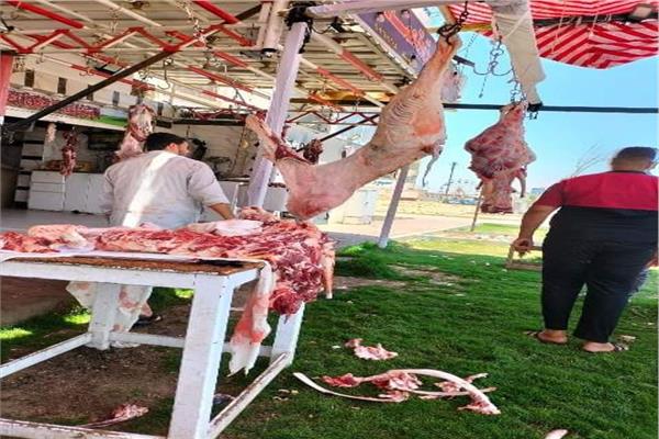 صورة موضوعية