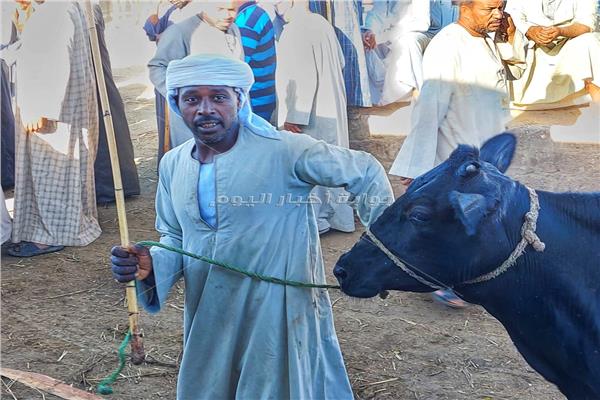 7 قرارات هامة لمديرية الطب البيطري بالأقصر قبل الإحتفالات بعيد الأضحى المبارك