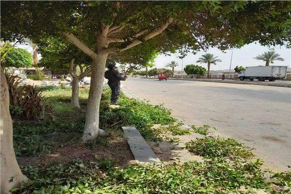 صورة موضوعية