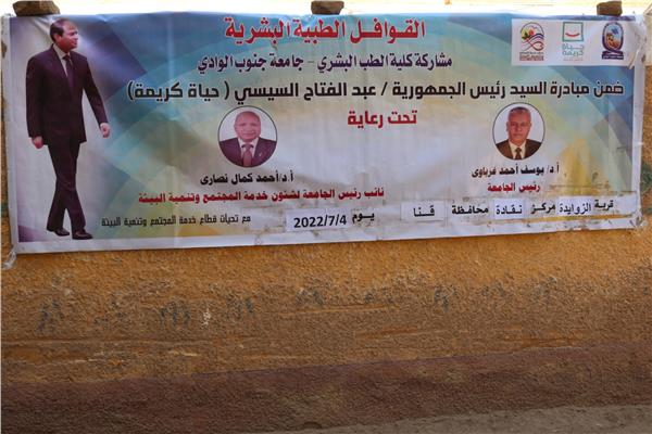 جامعة جنوب الوادى