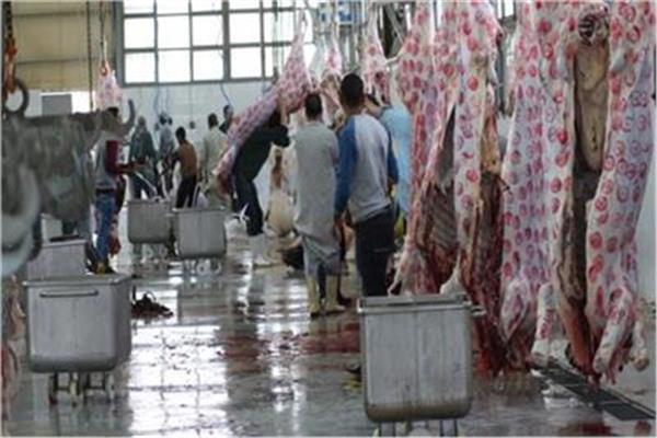 صورة موضوعية