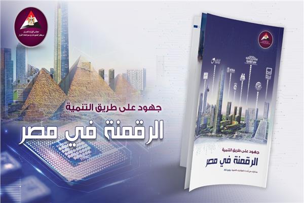 جهود التحول الرقمي داخل الدولة