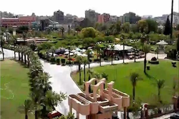 صورة موضوعية