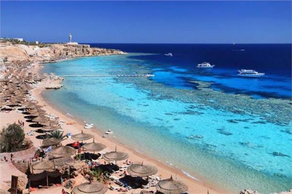 صورة موضوعية