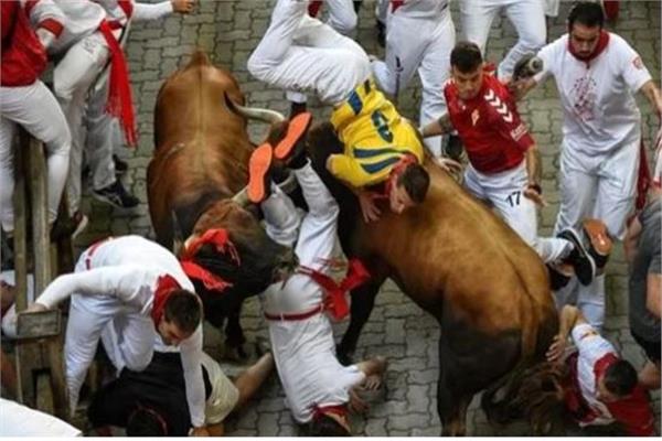 خلال مهرجان شعبي بإسبانيا.. ثيران تنقض على 3 رجال في حادث مروع