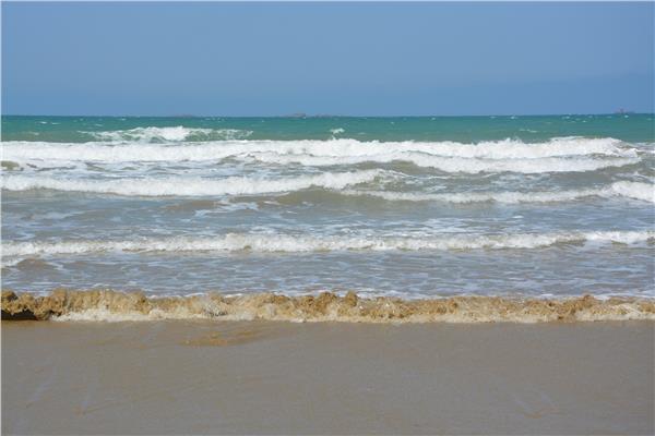 صورة موضوعية