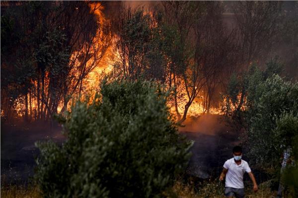 صورة أرشيفية