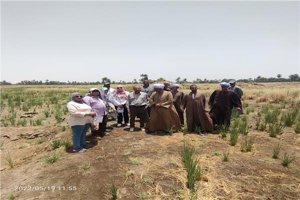 القومى للبحوث الفلكية يبحث حماية معبد ادفو من المياه الجوفية 