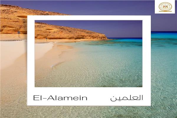 ارشيفية